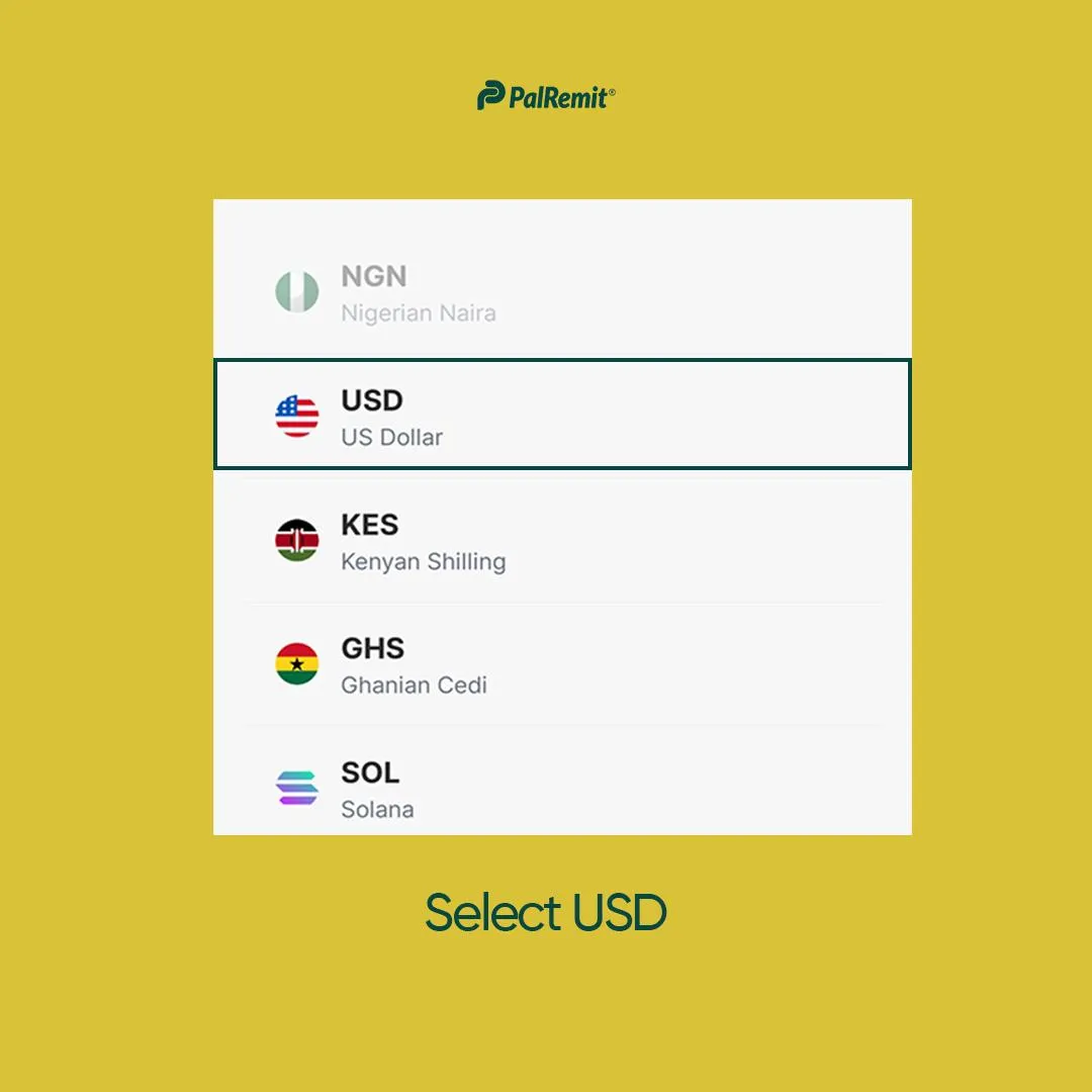 how-to-deposit-us-dollars-on-palremit screenshot 2