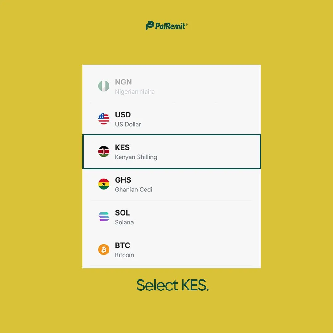 how-to-deposit-kenyan-shilling-on-palremit screenshot 2