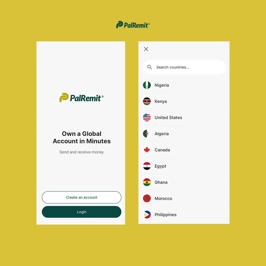creating-an-account-on-palremit-2 screenshot 2