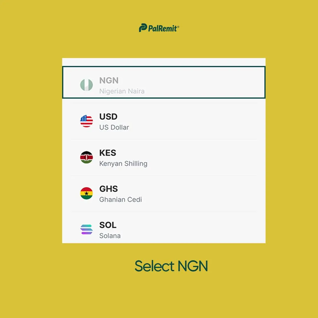 how-to-deposit-ngn-on-palremit screenshot 2