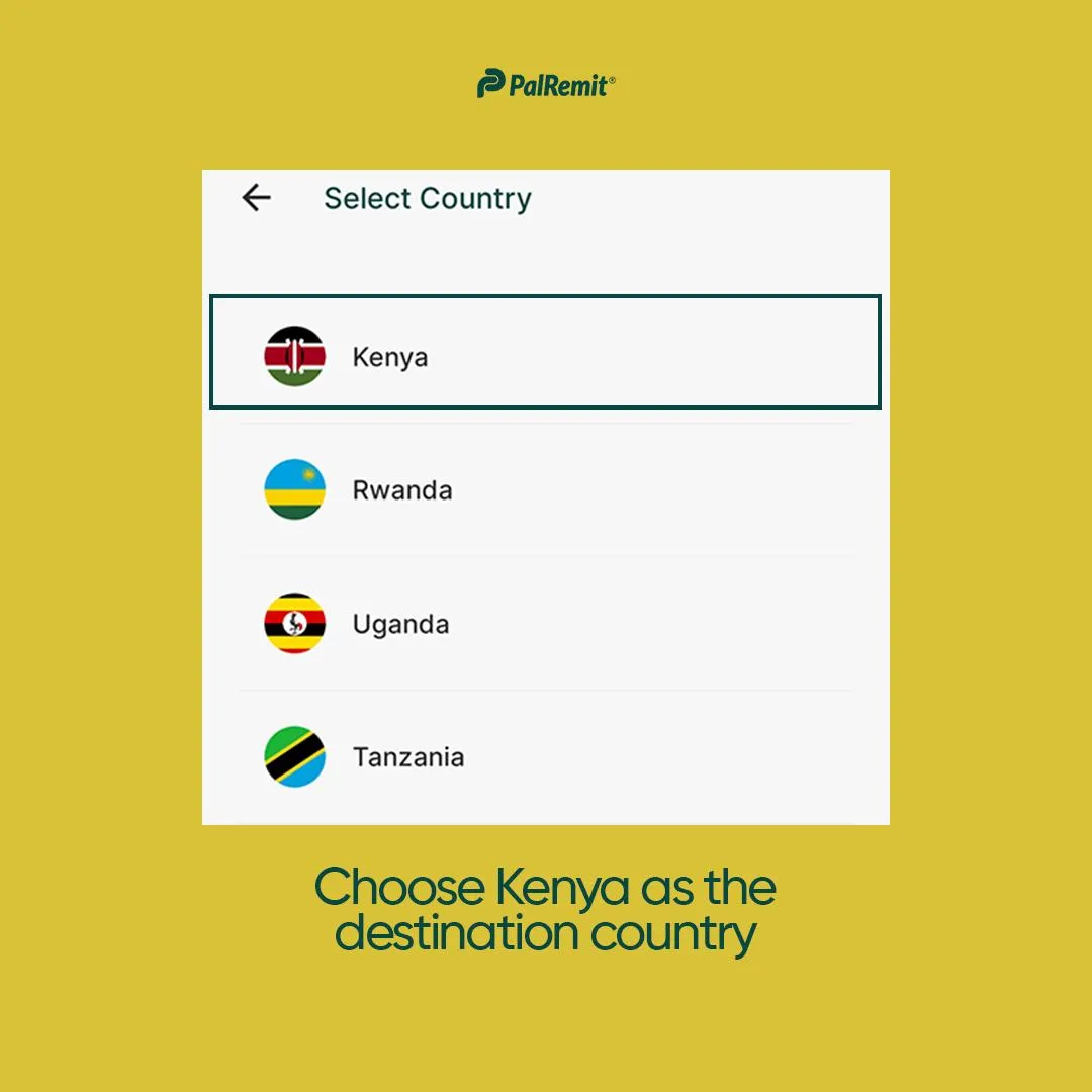 how-to-deposit-kenyan-shilling-on-palremit screenshot 3