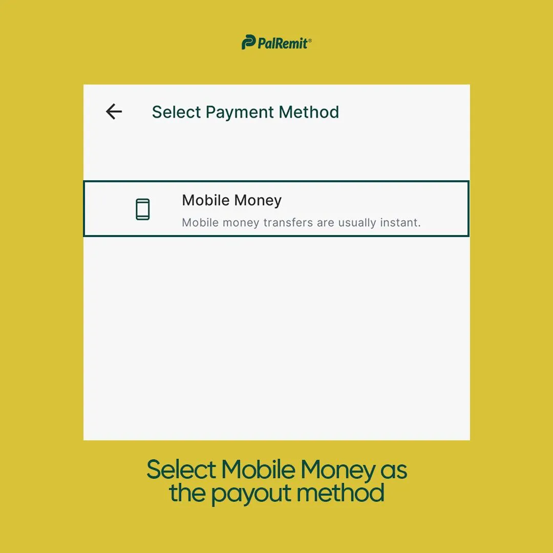 how-to-deposit-kenyan-shilling-on-palremit screenshot 4